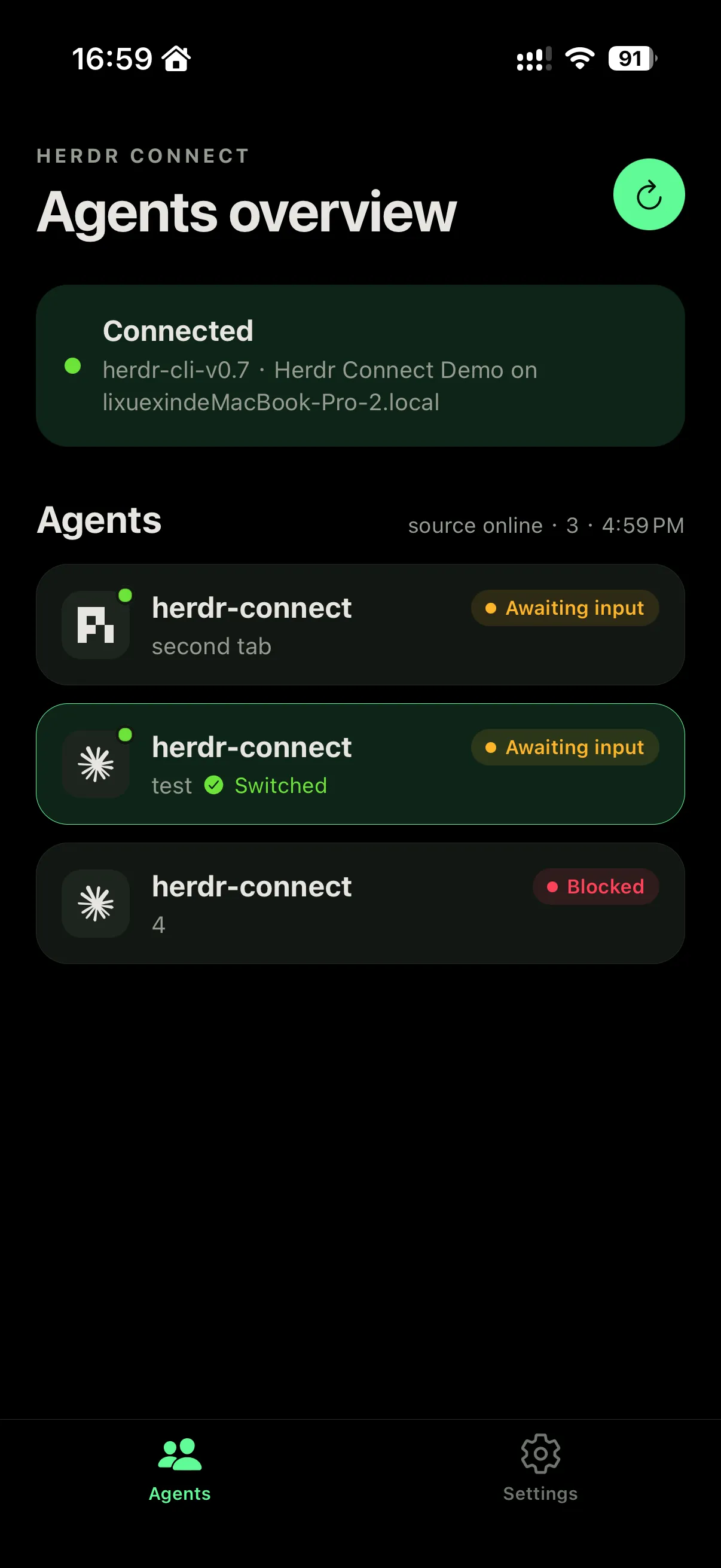 Herdr Connect iPhone agent overview